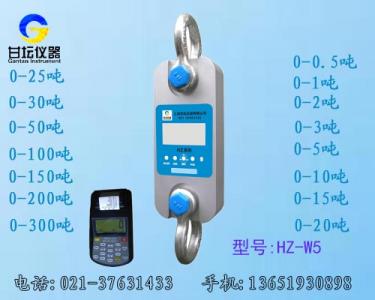 HZ-W5打印测力计,铁路装卸用10吨无线测力仪